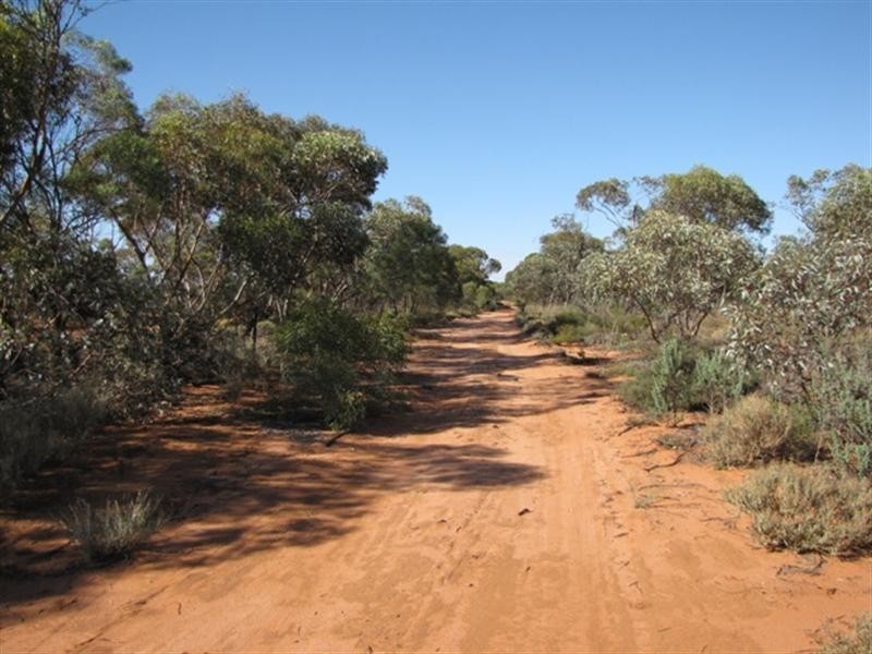 652 Caddy Road, Loveday SA 5345