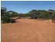 652 Caddy Road, Loveday SA 5345