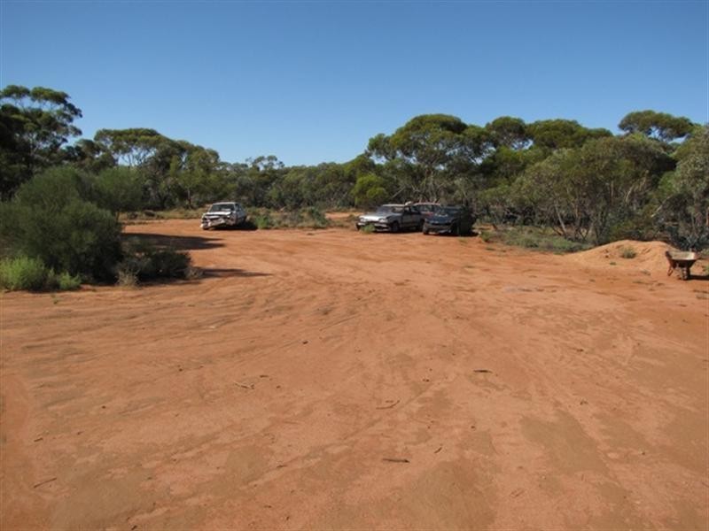 652 Caddy Road, Loveday SA 5345