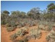 652 Caddy Road, Loveday SA 5345