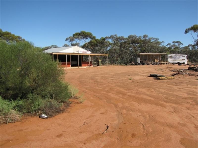 652 Caddy Road, Loveday SA 5345