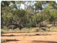 652 Caddy Road, Loveday SA 5345