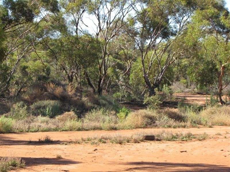 652 Caddy Road, Loveday SA 5345