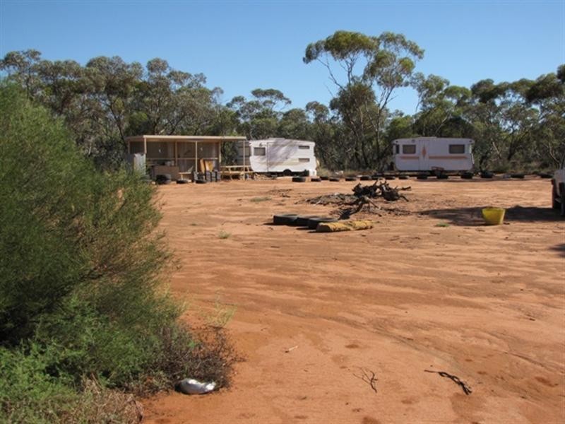 652 Caddy Road, Loveday SA 5345