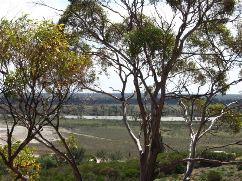 38 Wheatley Road, Loxton SA 5333