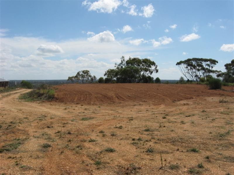 38 Wheatley Road, Loxton SA 5333