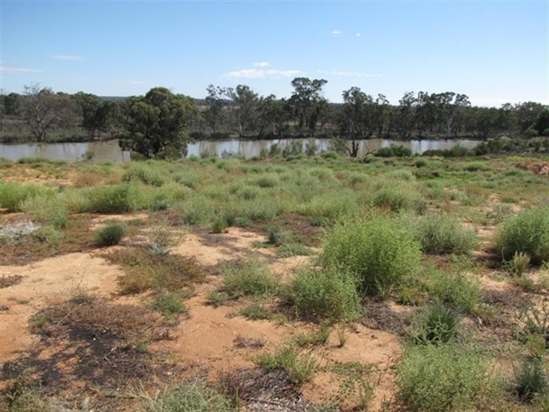 29 Ella Court, Loxton SA 5333