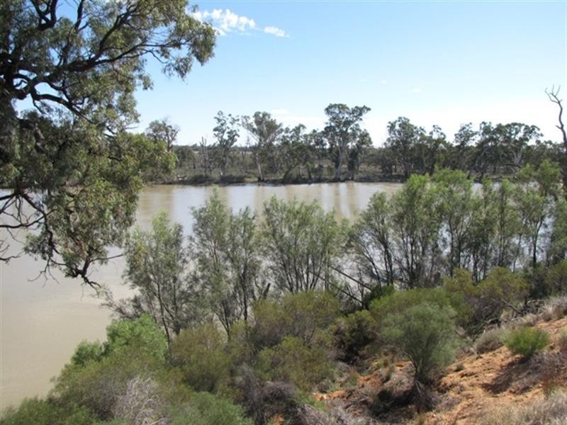 29 Ella Court, Loxton SA 5333