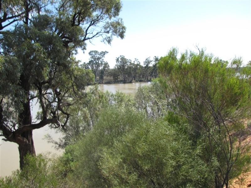 29 Ella Court, Loxton SA 5333