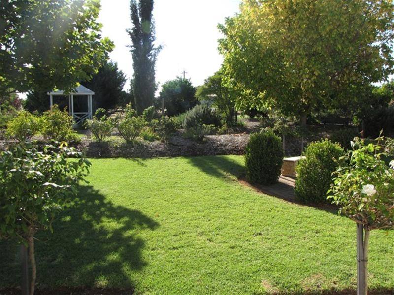 121 Mortimer Road, Berri SA 5343