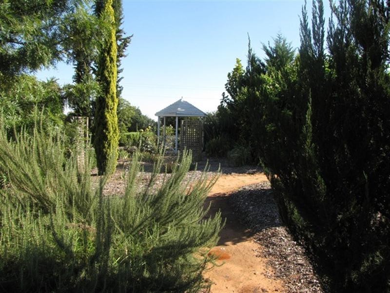121 Mortimer Road, Berri SA 5343
