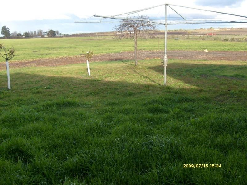 428 Gratwick Road, Loxton SA 5333