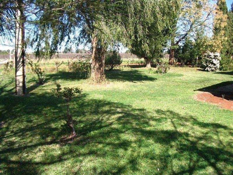 188 Dunstone Road, Barmera SA 5345