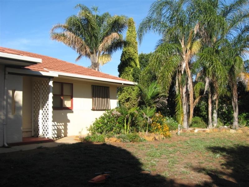 62 Middleton Road, Loxton SA 5333