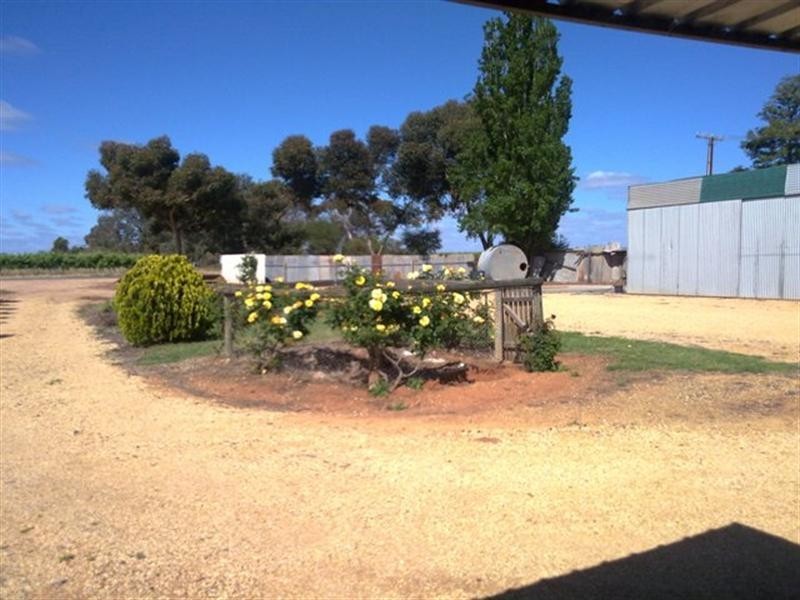 38 Spiller Road, Loveday SA 5345