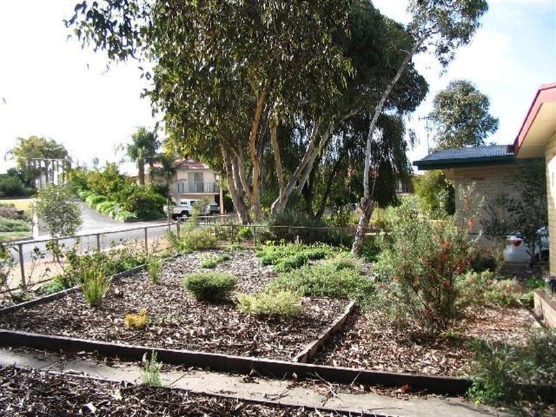 16 Aitken Street, Berri SA 5343