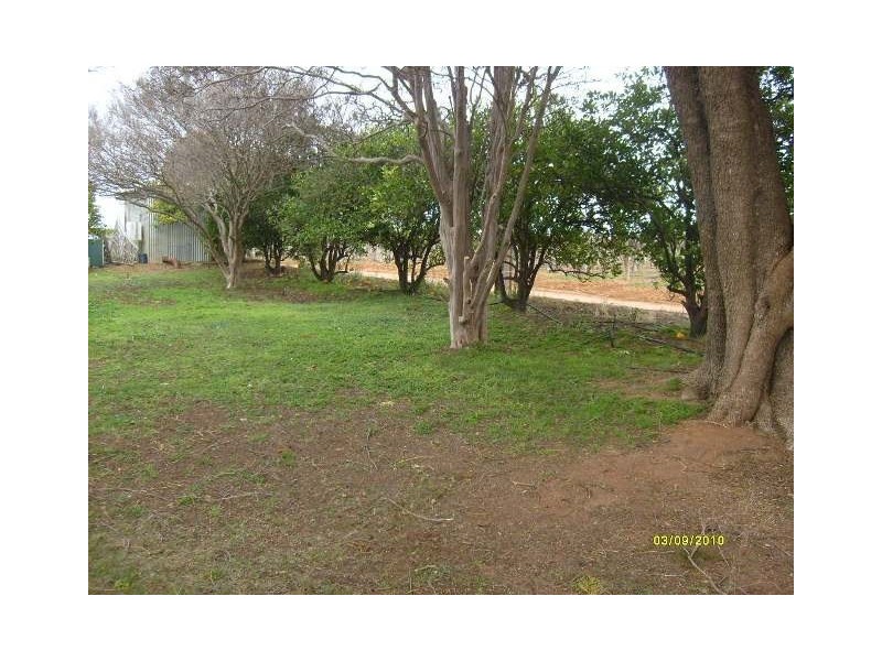 Sec 511 Edmondson Road, Loxton SA 5333