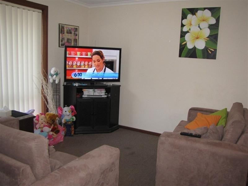 3A Guy Street, Berri SA 5343