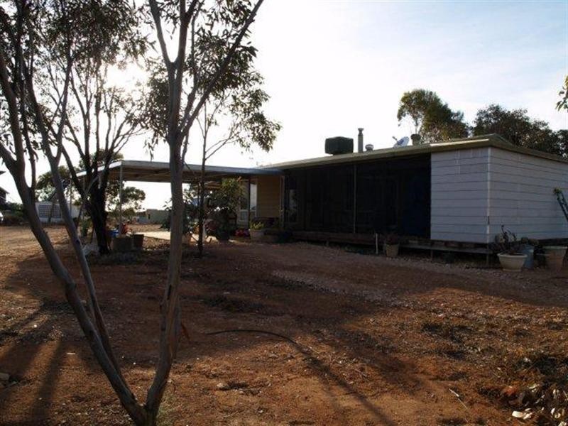 498 Ring Road, Morgan SA 5320