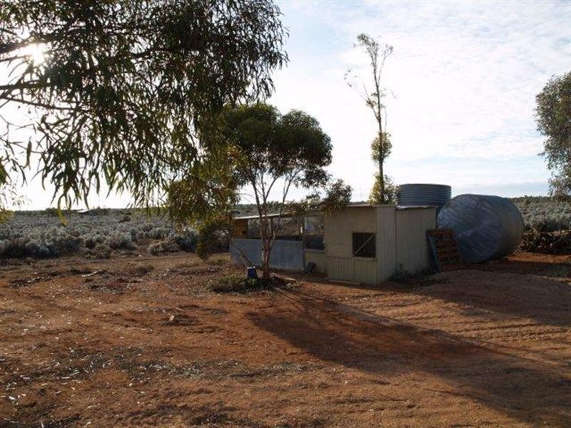 498 Ring Road, Morgan SA 5320