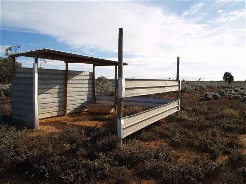 498 Ring Road, Morgan SA 5320