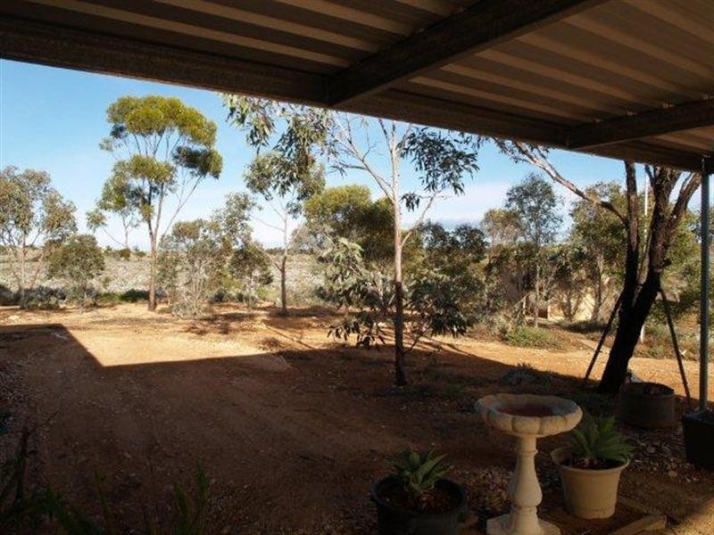 498 Ring Road, Morgan SA 5320