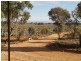 498 Ring Road, Morgan SA 5320