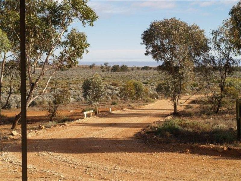 498 Ring Road, Morgan SA 5320