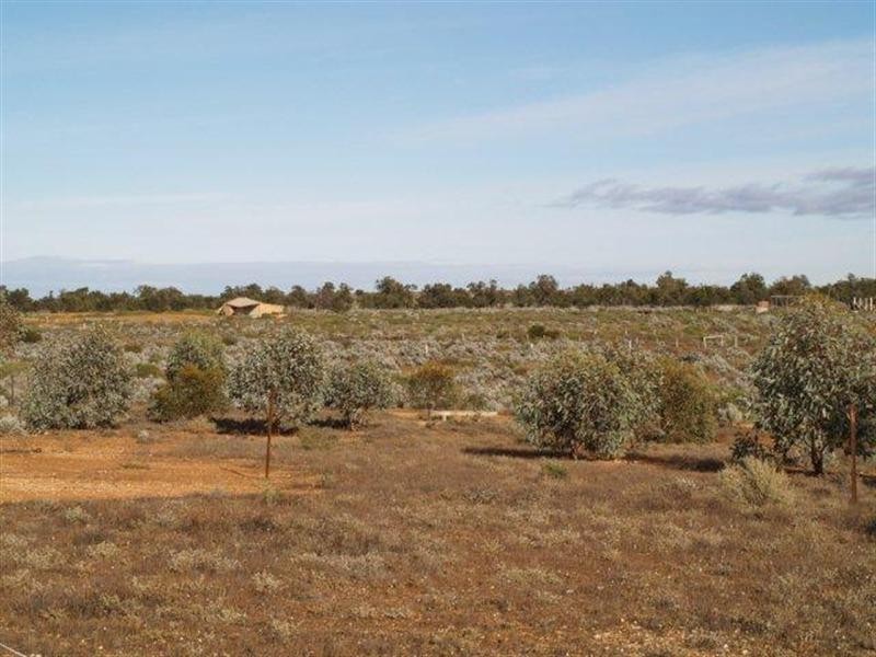 498 Ring Road, Morgan SA 5320