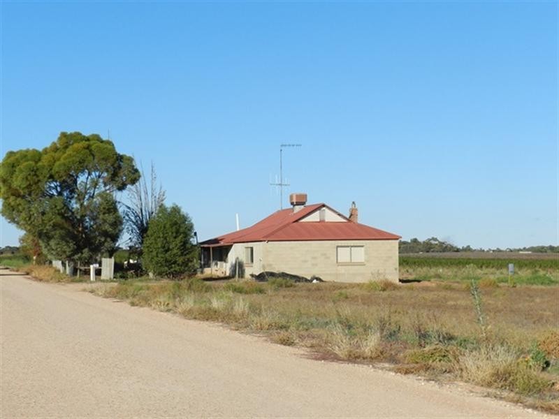 16 Moss Road, Monash SA 5342