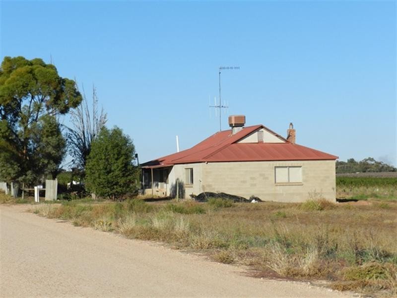 16 Moss Road, Monash SA 5342