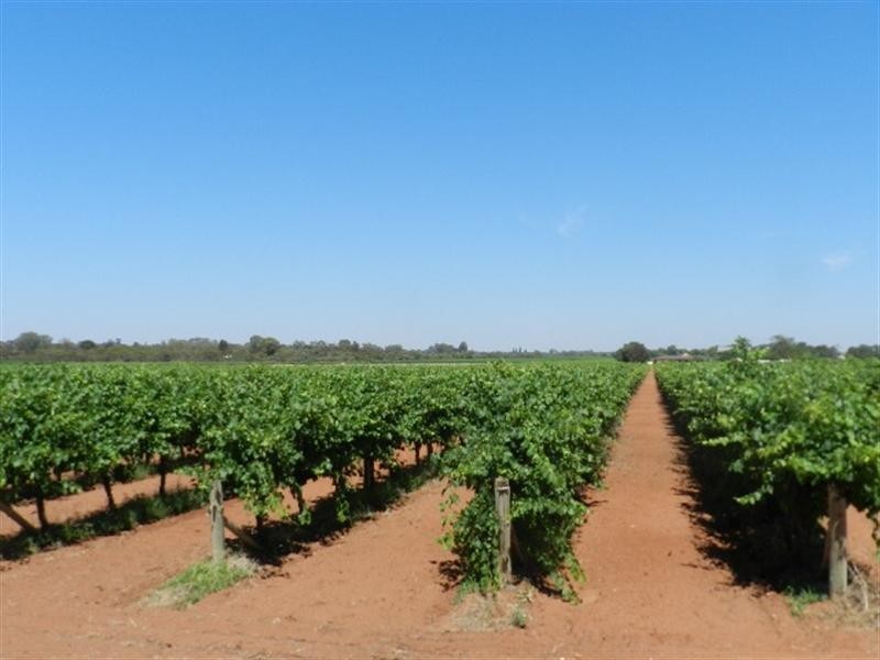 52 Bottom Road, Glossop SA 5344