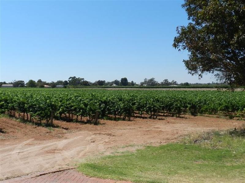 52 Bottom Road, Glossop SA 5344