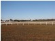286 Caddy Road, Loveday SA 5345