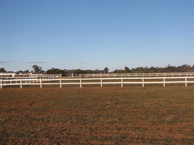 286 Caddy Road, Loveday SA 5345