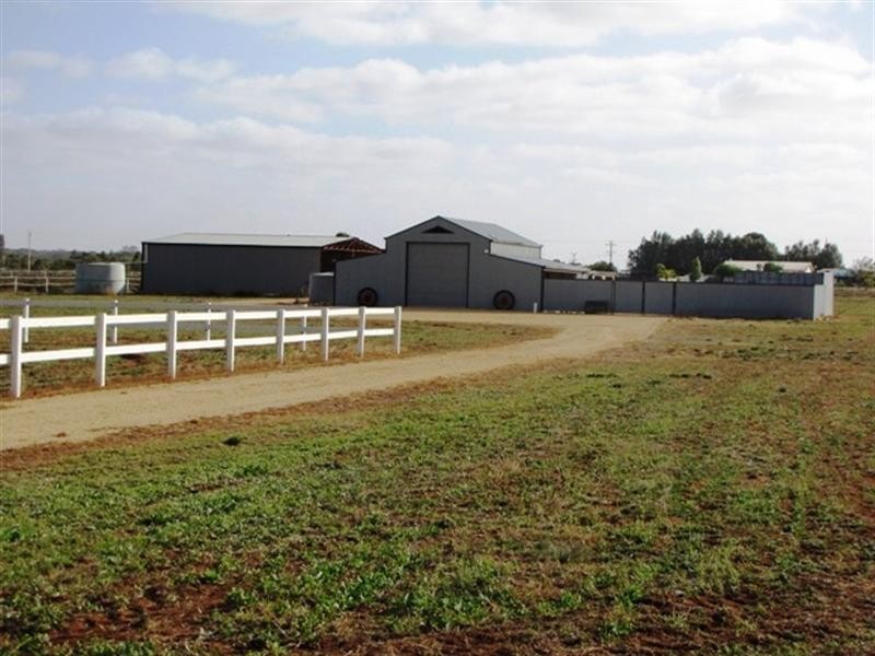 286 Caddy Road, Loveday SA 5345