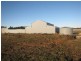 286 Caddy Road, Loveday SA 5345