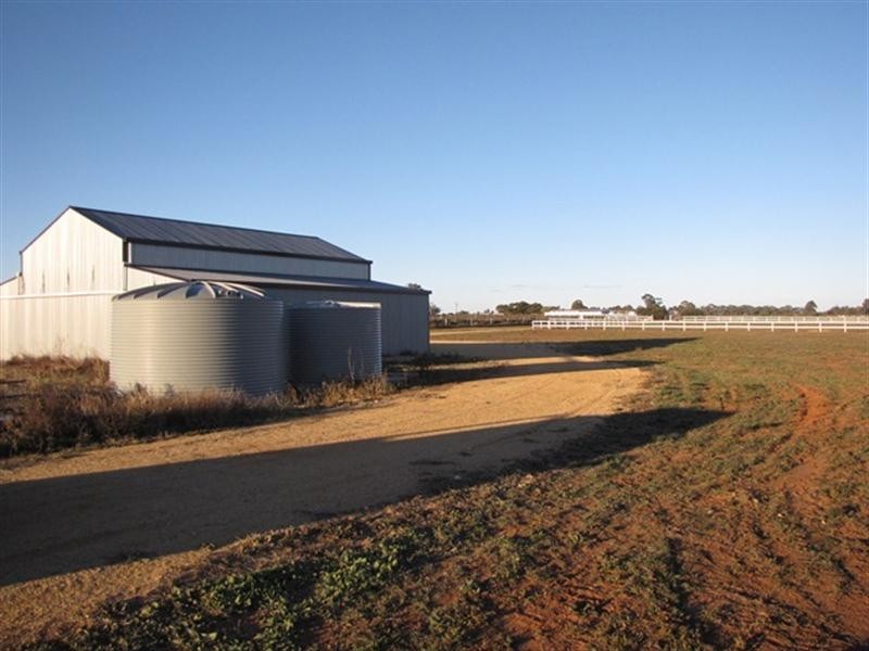 286 Caddy Road, Loveday SA 5345