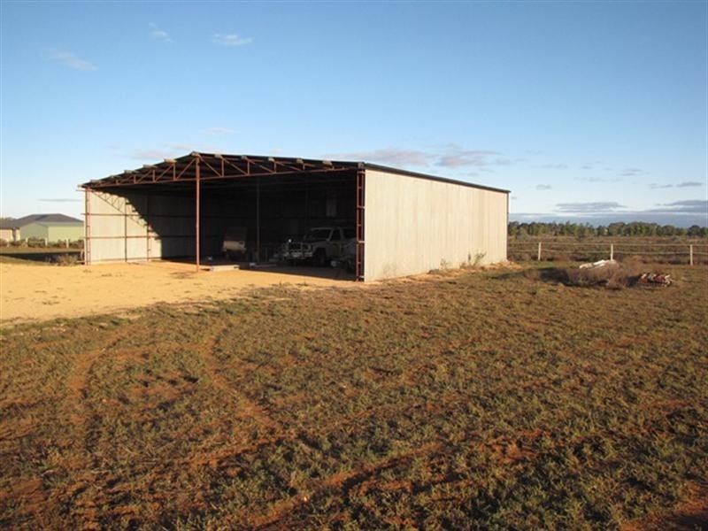 286 Caddy Road, Loveday SA 5345