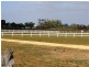 286 Caddy Road, Loveday SA 5345