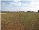 286 Caddy Road, Loveday SA 5345
