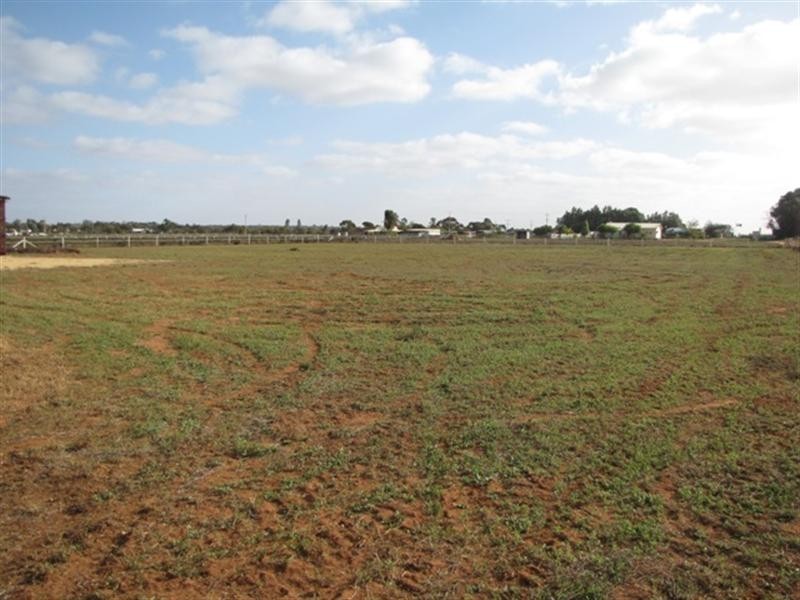 286 Caddy Road, Loveday SA 5345