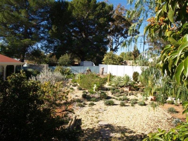 16 Coombe Terrace, Waikerie SA 5330