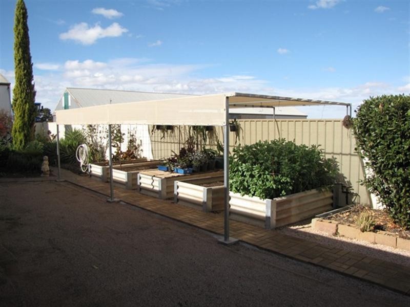 8 Downer Terrace, Lyrup SA 5343