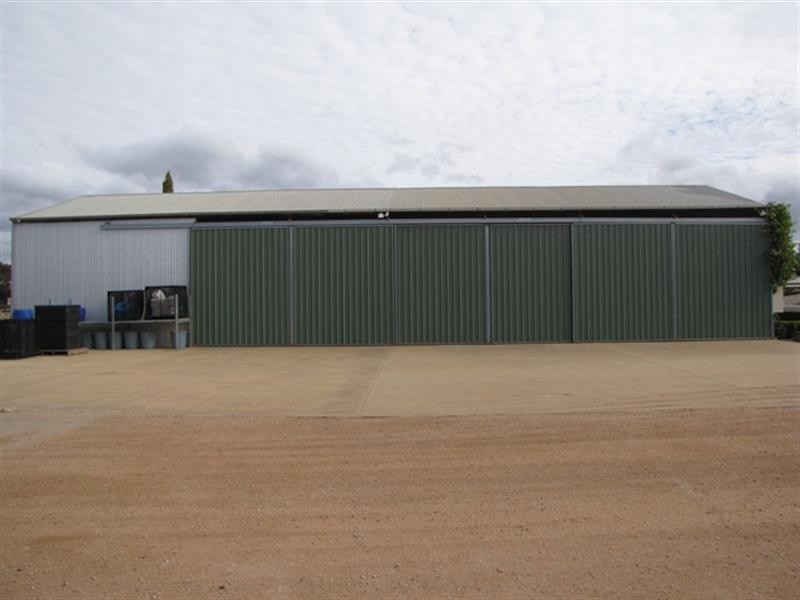 8 Downer Terrace, Lyrup SA 5343