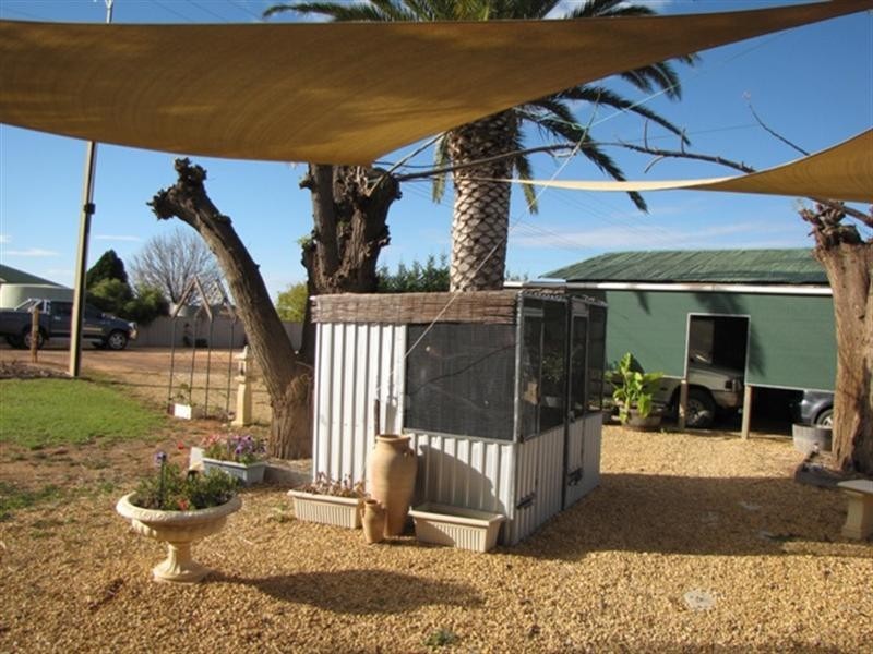 235 McKenzie Road, Barmera SA 5345