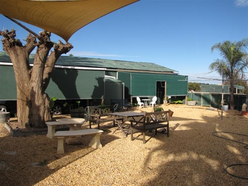 235 McKenzie Road, Barmera SA 5345