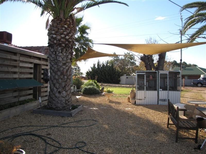 235 McKenzie Road, Barmera SA 5345