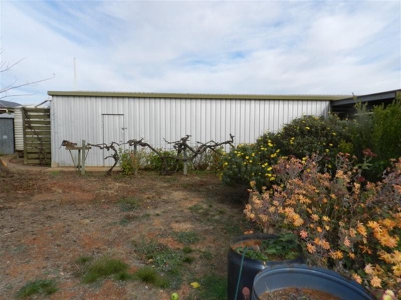 29 Eringa Avenue, Loxton SA 5333