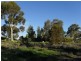 294 Taylorville Road, Waikerie SA 5330